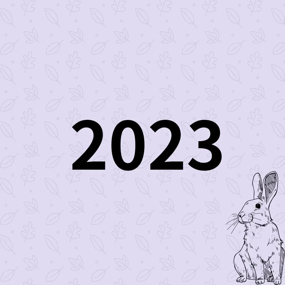 画像317